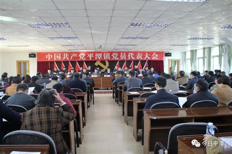 平潭镇召开党员代表大会补选出席区第五次党代会代表