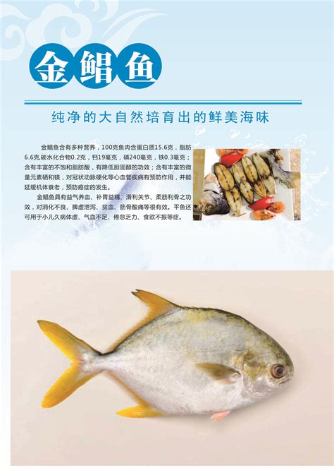 GUO LIAN国联 东海白鲳鱼 银鲳鱼 600g 5-8条 深海鱼产地直供 国产生鲜-商品详情-光明菜管家