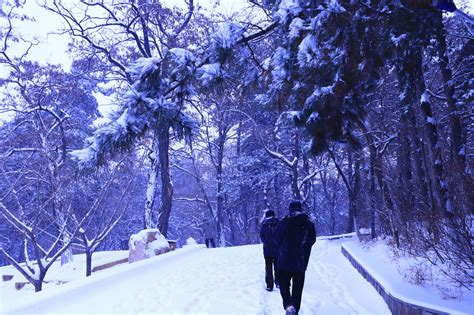 全球冬季绝色美景 冰天雪地宛如仙境_频道_凤凰网