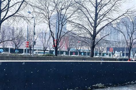 北京城区迎来2015年首场降雪【8】--图片频道--人民网