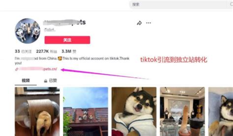 tiktok独立站成本,独立站卖家如何通过TikTok引流 - DTCStart