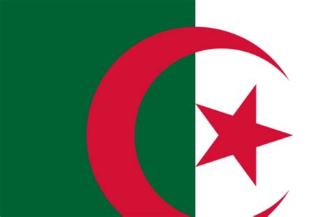 阿尔及利亚队闯进非洲杯决赛，为何法国人欢呼胜利？_马赛