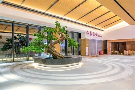 羊城晚报-广东“最美”特色高速服务区带欢迎打卡