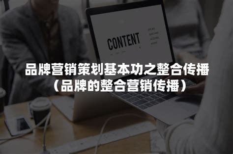 营销基本功最新章节免费阅读_全本目录更新无删减 - 起点中文网官方正版