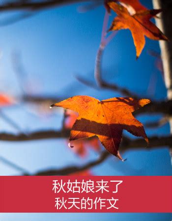 【秋天的作文】关于秋天的作文_描写秋天景色的作文_太平洋亲子网