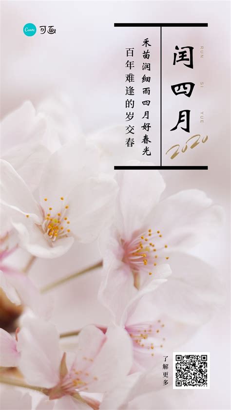 粉白色春季花朵照片闰四月节日宣传中文手机海报 - 模板 - Canva可画