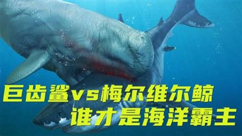 《巨齿鲨2：深渊》巨齿鲨vs梅尔维尔鲸，究竟谁才是海洋霸主_电影_高清完整版视频在线观看_腾讯视频