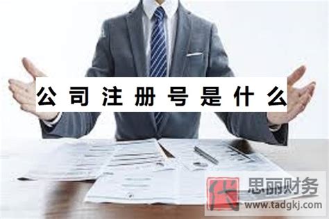 深圳注册公司字号查询流程及注意事项 - 行业资讯 - 大配谷
