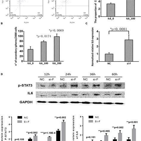 FA2H expression is significantly reduced in gastric cancer tissues. a ...