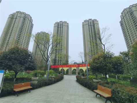 重庆两江新区鱼嘴棠锦园小区9栋1单元增设电梯方案公示