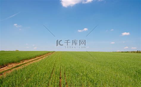 场位置 的图像结果
