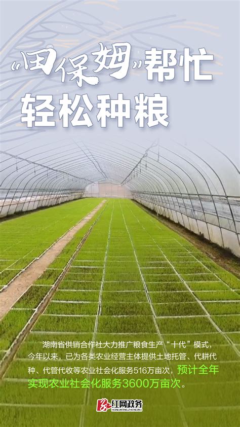 海报 | 湖南：在春天种下仓廪殷实的希望_热点专题_政务频道_红网