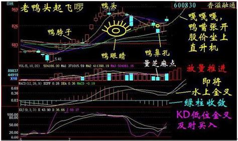股票k线形态图解大全 k线组合形态分析(图)__赢家财富网
