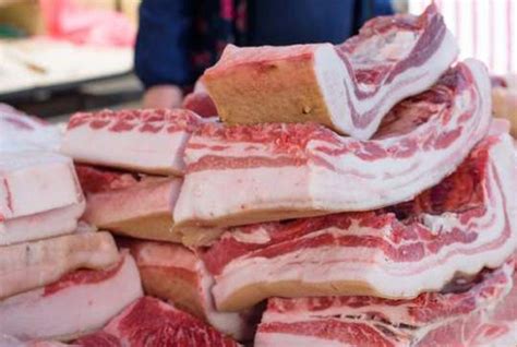 冷冻肉产品进口商要什么资质才能进口与单证 - 外贸日报