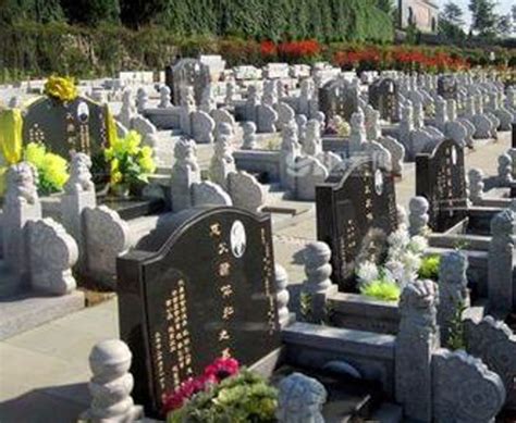 为什么上海墓地价格这么贵？哪个陵园公墓的价格相对低些？ - 知乎