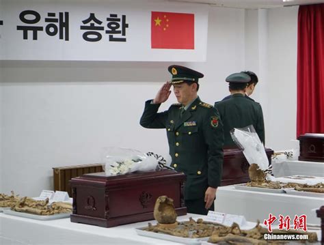 中韩举行在韩志愿军烈士遗骸装殓仪式_金羊网新闻