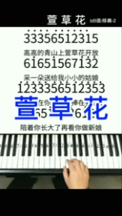 《萱草花》适合初学者的钢琴简谱。_腾讯视频