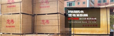 建筑特级木模板 - 建筑木模板 - 江苏金森源木业有限公司