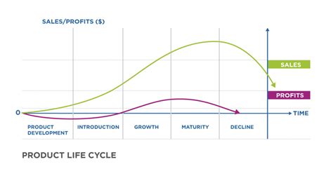 What Stages Make up the Product Development Life Cycle (And Why They ...