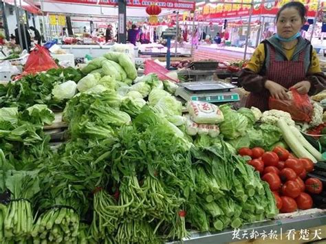 实现“蔬菜自由” 陕西省蔬菜价格连续3周回落_零售价