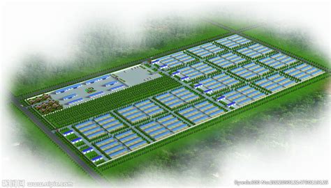种植槽栽培3 - 无土栽培 - 北京和众必拓科技有限公司