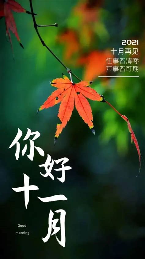 再见十月图片