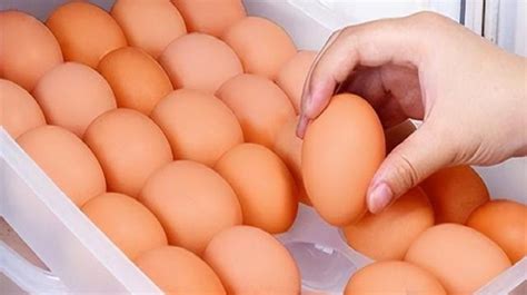几个鸡蛋约重一斤呢「详细介绍：辨别鸡蛋是否新鲜小技巧」 - 遇奇吧