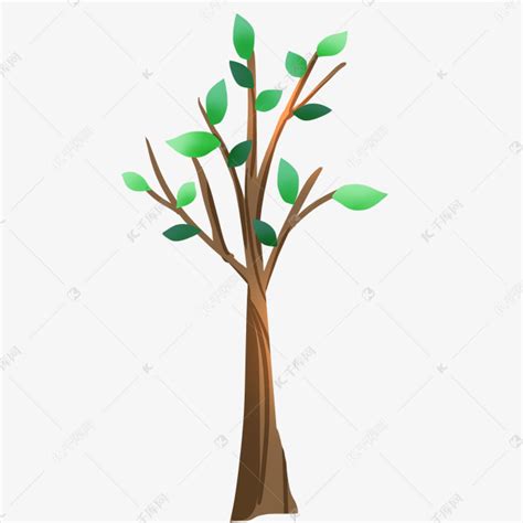 一棵常绿松树的景观植物设计SU模型