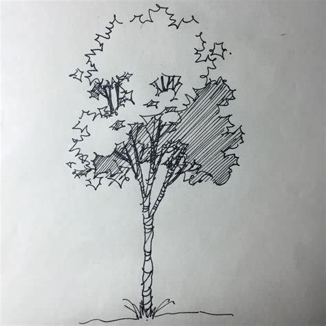 漫画中的树该怎么画？教你如何画树__凤凰网