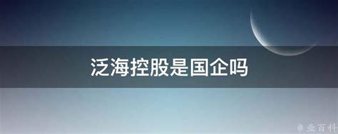 泛海控股转型金融7年负债1460亿 资金链承压2.94亿股将被拍卖抵债 - 长江商报官方网站