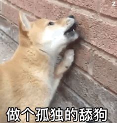 舔表情包图片