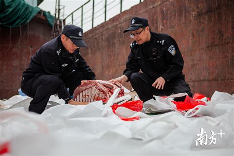 中国“洋垃圾”走私经典案例！