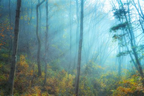 塞尔达迷雾森林呀哈哈兑换位置在哪-塞尔达传说：荒野之息大神回答-梦幻手游网