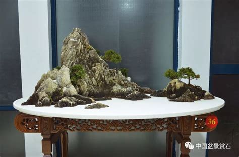 神奇的柏树盆景造型——樊顺利大师盆景制作纪实