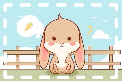 国潮 插画 动物 十二生肖 兔子 - 堆糖，美图壁纸兴趣社区