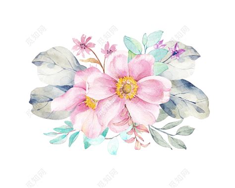 手绘花朵图片