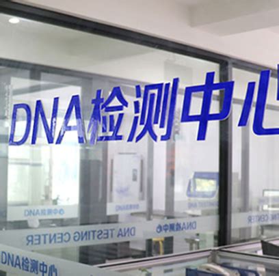 广东DNA亲子鉴定机构，广东亲子鉴定怎么做-中鉴中正亲子鉴定中心机构