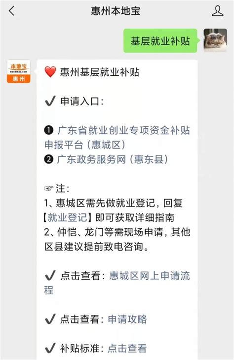 惠州高校毕业生基层就业补贴3000元怎么申请- 惠州本地宝