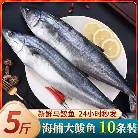 青岛鲜鲅鱼 家庭吃的35块钱一斤 越大越贵 18斤一条42块钱一斤|鲅鱼|青岛|老丈人_新浪新闻