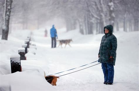 寒冷的天气暴风雪可见度差滑的道路莫斯科地区高清图片下载-正版图片502973521-摄图网