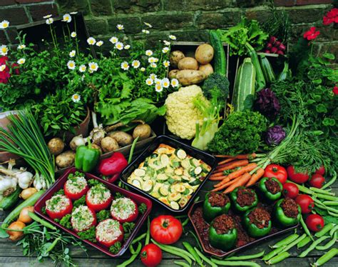 常见的蔬菜种类100种,常见100种蔬菜图片,常见的蔬菜有哪些_大山谷图库