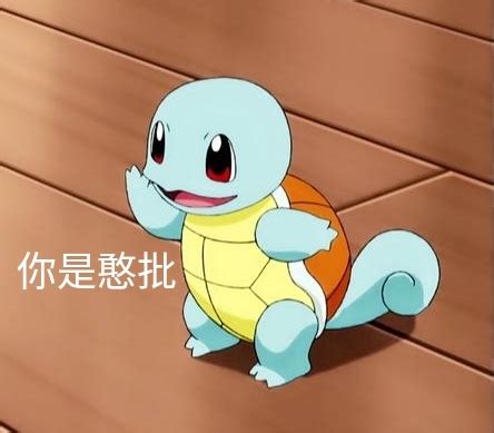 憨憨表情包杰尼龟图片
