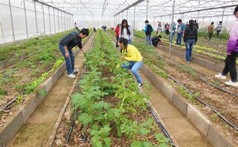 热带作物学院成功举办2021年学生职业技能大赛-云南农业大学热带作物学院