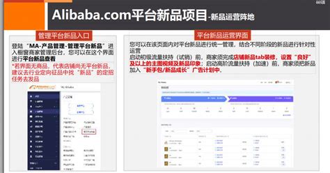 Alibaba.com平台新品项目 - 魔笛-宁波阿里巴巴国际站代运营 - 阿里国际站店铺代运营及旺铺装修
