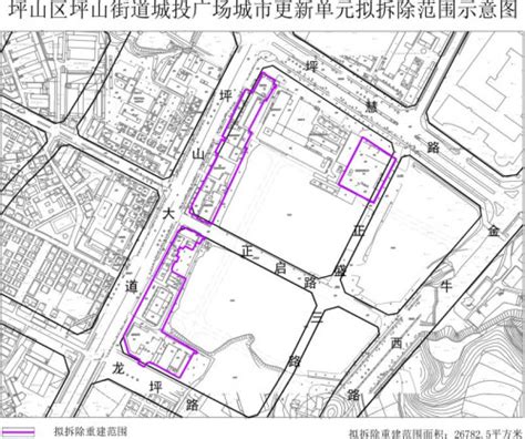 关于《2019年深圳市坪山区城市更新单元第一批计划》（草案）的公示-坪山区人民政府