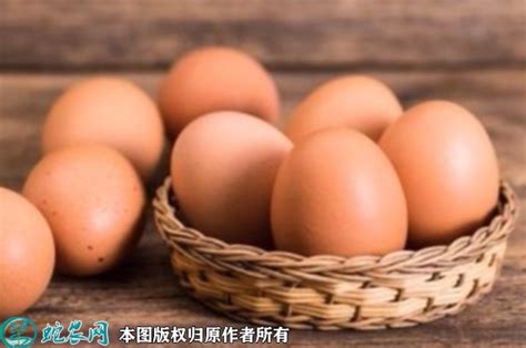 图文：一枚鸡蛋的期货之旅_凤凰网