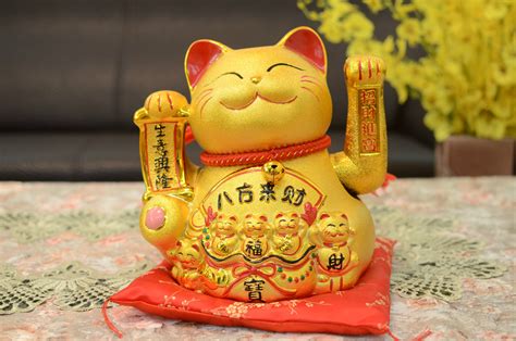 发财富贵猫图片