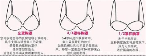 胸罩ABCD尺码表：女人胸围abcd罩杯分别是多大尺寸-孕前保健-妈妈宝宝网