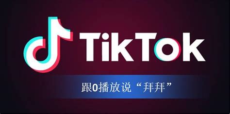 TikTok社交媒体关键数据出炉，卖家如何把握23年趋势？_石南学习网