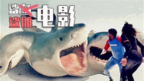 九部“鲨鱼电影”排行：《巨齿鲨》暂列第三，第四名最值得推荐_好莱坞